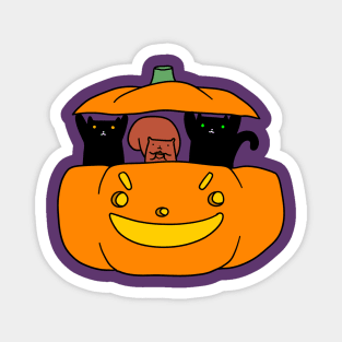 Pumpkin Squirrel and Black Cats Magnet