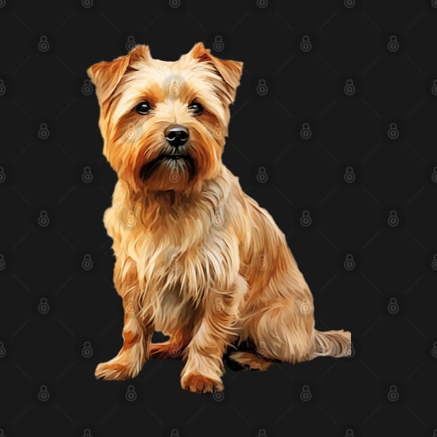 Norfolk Terrier by DavidBriotArt