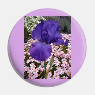 Iris Flower Indigo Blue with pink Daisies Pin