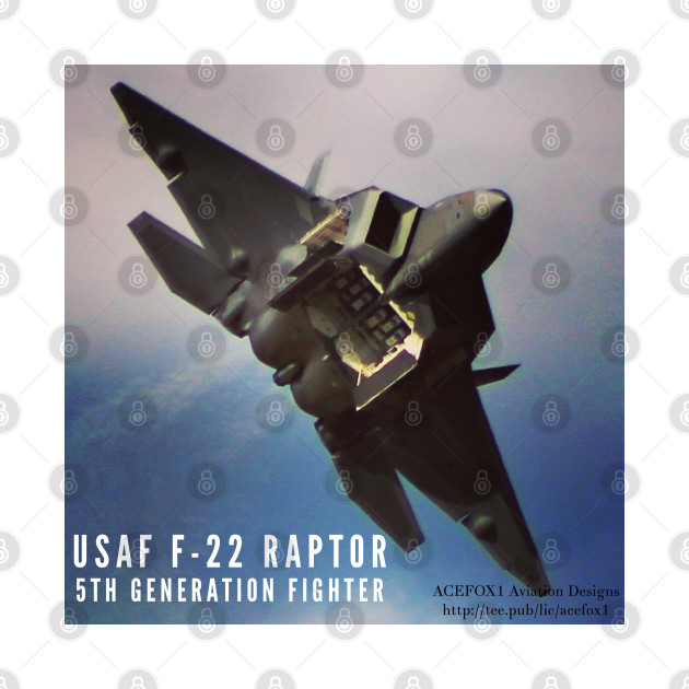 2-Sided F-22 Raptor by acefox1