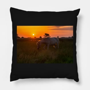 Horse grazing on pasture Pillow