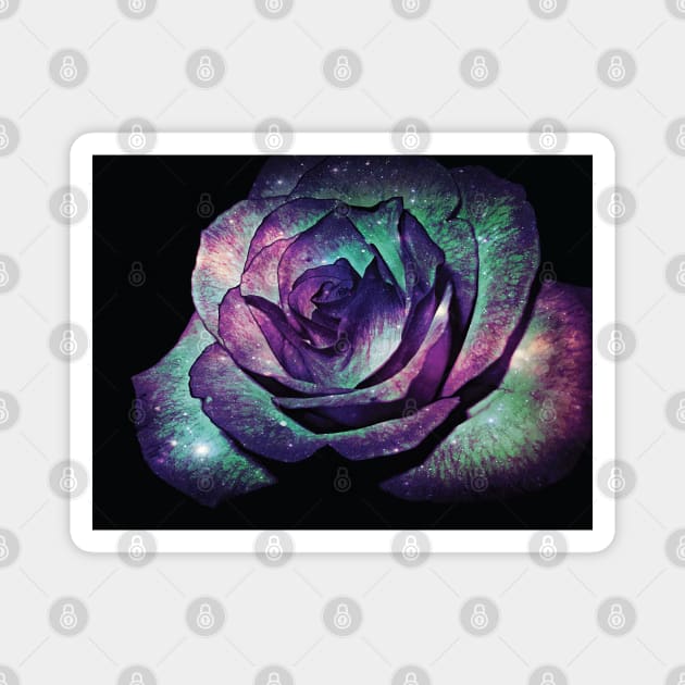 Floral Glitter Galaxy Purple Blue and Pink Rose Flower from Beautiful Blooming Botanical Garden in Nature with Minimal Style during Spring Summer Magnet by Little Shop of Nola