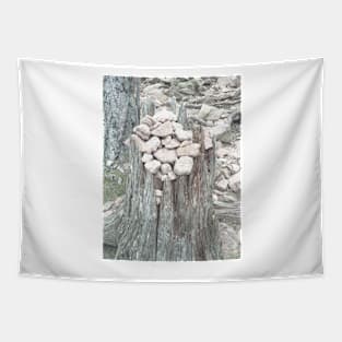 Pebbles on tree stump Tapestry