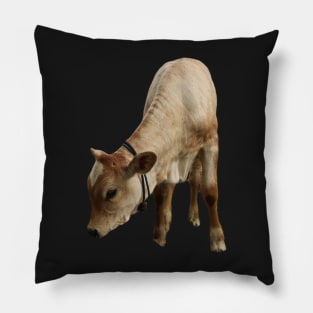 Funny beef calf cattle Pillow