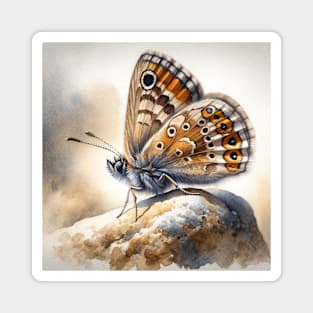 Pop Wall Brown - Watercolor Butterfly Magnet