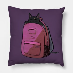 Tortie Catpack Pillow