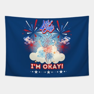 I'm okay 4th of July fireworks pyromaniac grand Finale Dad Tapestry