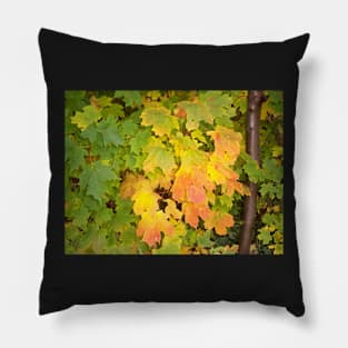 Autumn leaf Pillow