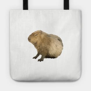 Cute capybara Tote