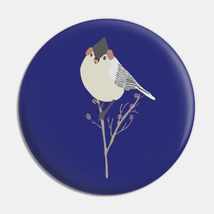 Winter bird Pin