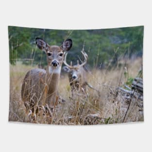 White-Tailed Deer Tapestry