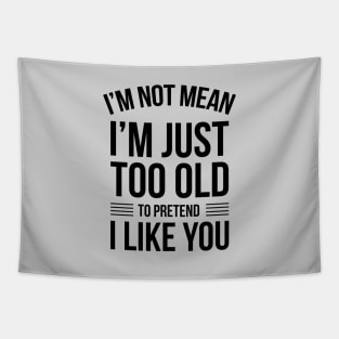 I'm Not Mean I'm Just Too Old To Like You Funny Saying Tapestry