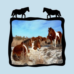 Wild horses, wildlife, gifts, Assateague Island T-Shirt