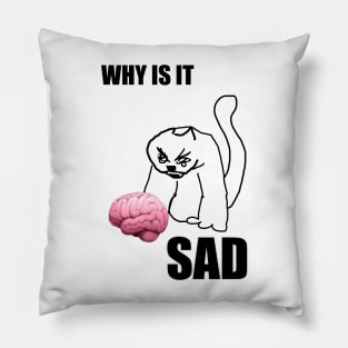 why is it sad cat Pillow