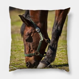 Feeding Time Pillow