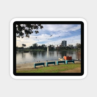 MacArthur Park Afternoon Pond View Magnet