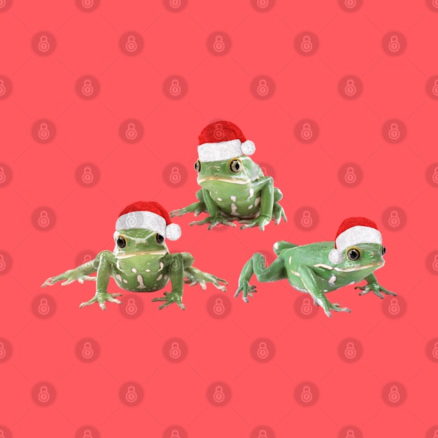 Xmas Frogs by Madblossom