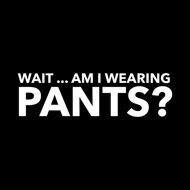 Wait ... am I wearing pants? by Author On The Road