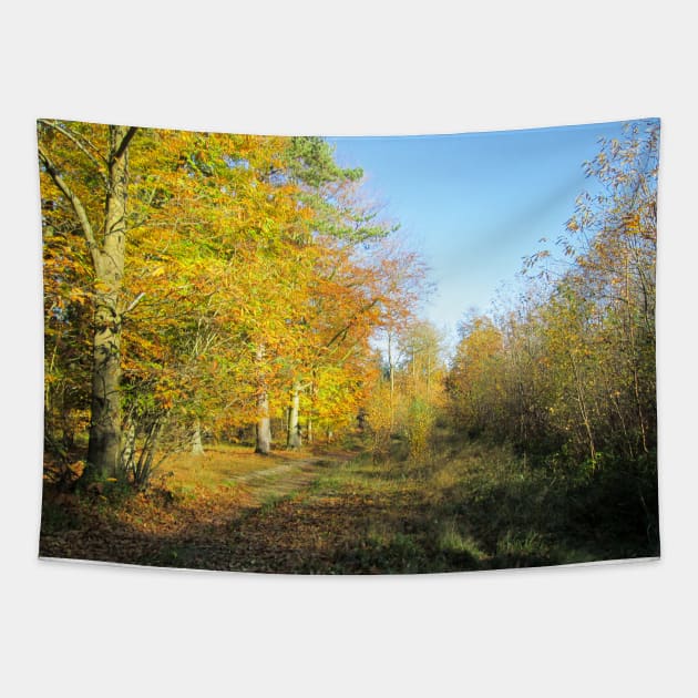 Vibrant Autumn Walk Tapestry by Natural Distractions