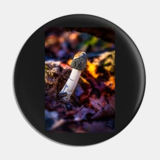 Common Stinkhorn Mushroom Pin