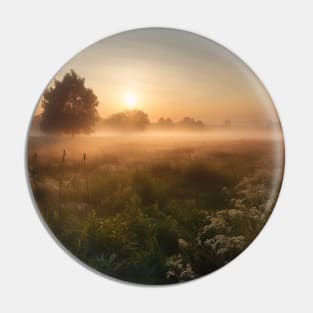 Sunrise over a green meadow fog rises in the summer Pin