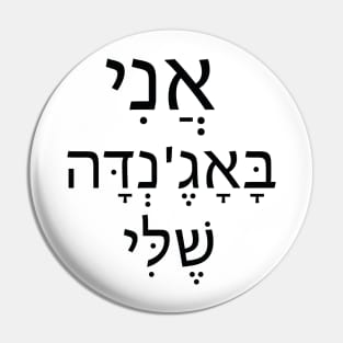 אני בא'אנדה שלי - I am in my Agenda Pin