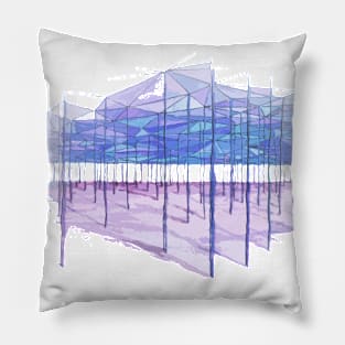 Canopy colors Pillow