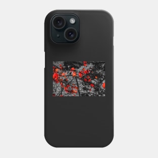 Leaves and light Phone Case