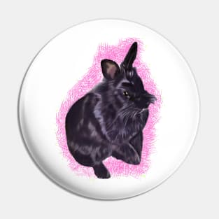 bunny rabbit cute  ebony colored coloured lionhead bunny rabbit with pink background Pin