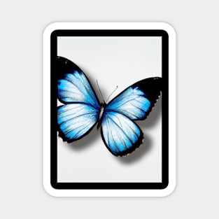 Blue Butterfly Magnet