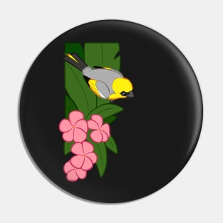 Hawaiian birds 1 - Palila Pin