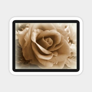 Vignette Rose Magnet