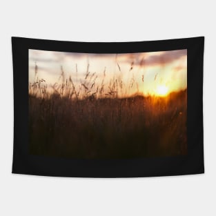 Sunset on the meadow Tapestry