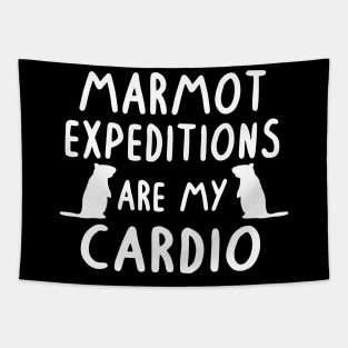 Marmot expedition cardio alps hiking mountains Tapestry