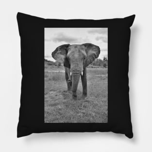 Black and white African Elephant Pillow