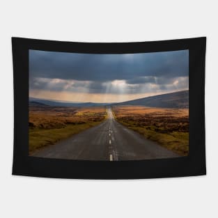 A moody road in the Dartmoor National Park Tapestry