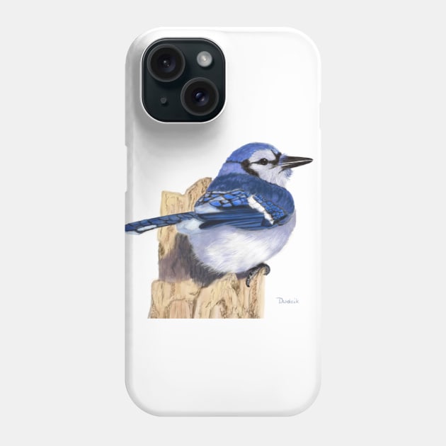 Blue Jay Backyard Bird Phone Case by Dudzik Art