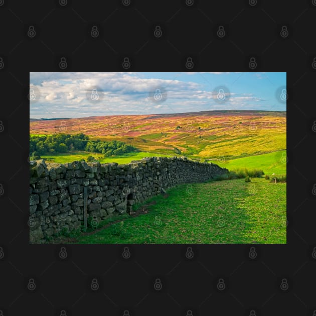 Yorkshire Moors Landscape by MartynUK