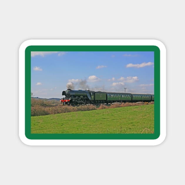 Flying Scotsman, Swanage Railway, March 2019 Magnet by RedHillDigital