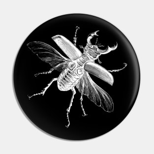 Vintage Stag beetle (Lucanus cervus) Pin