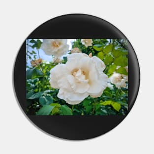 Beautiful White Rose Pin