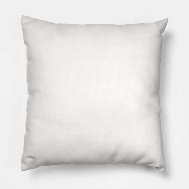 Porcelain White Plain Solid Color Pillow by squeakyricardo