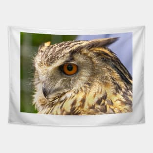 Eagle Owl Portrait Tapestry