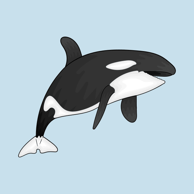 Killer whale cartoon illustration by Cartoons of fun