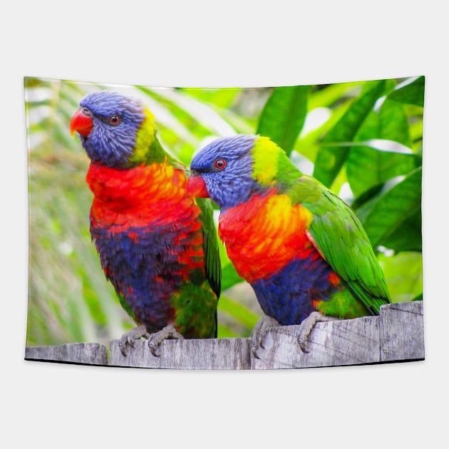 Rainbow Lorikeets Tapestry by Upbeat Traveler