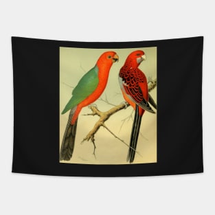 Colorful Birds of the Amazon: 1878 naturalist illustration Tapestry