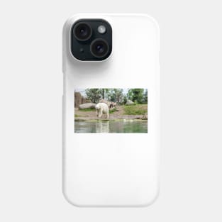 Polar bear walking by lake Phone Case