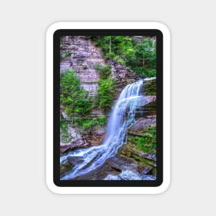 Ithaca NY Robert H. Treman State Park Flowing Water Magnet