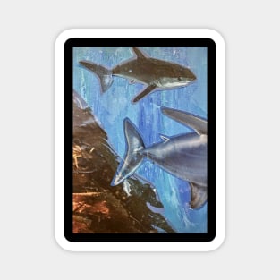 Shark Collage Magnet