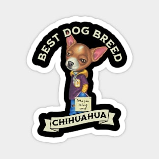 Chihuahua Best Dog Breed Magnet